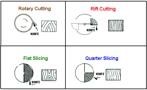 Drawing of different cuts