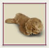 Stuffed Toys